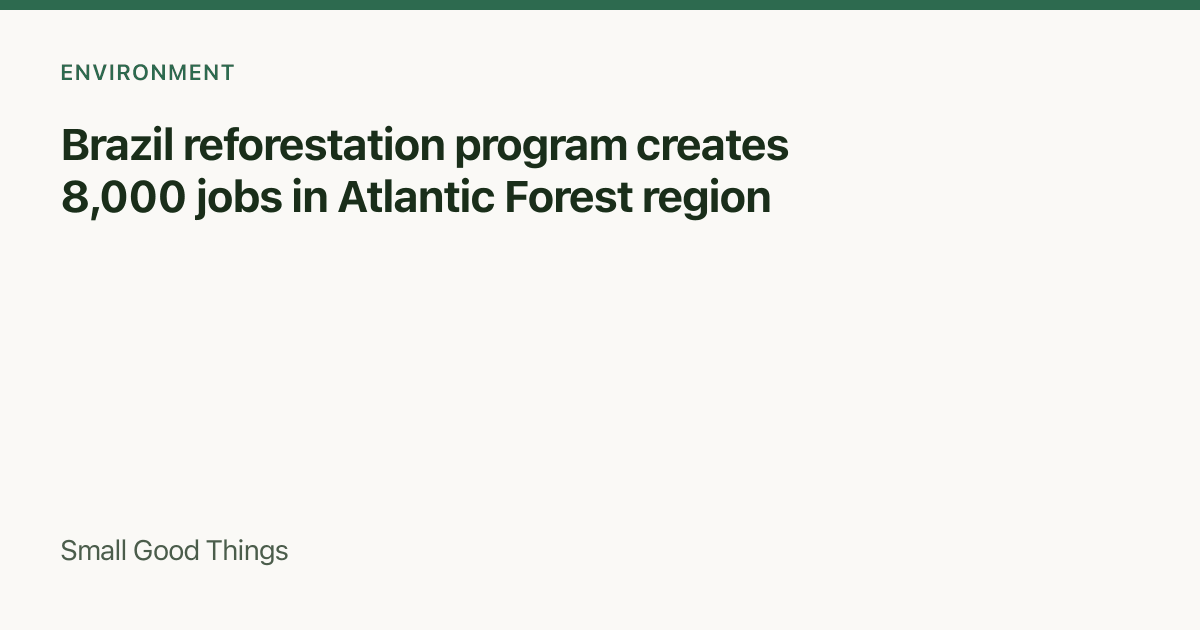 Brazil reforestation program creates 8,000 jobs in Atlantic Forest region — Atlantic Forest, Brazil