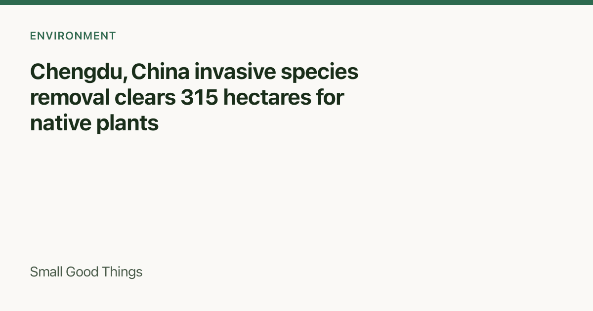 Chengdu, China invasive species removal clears 315 hectares for native plants — Chengdu, China