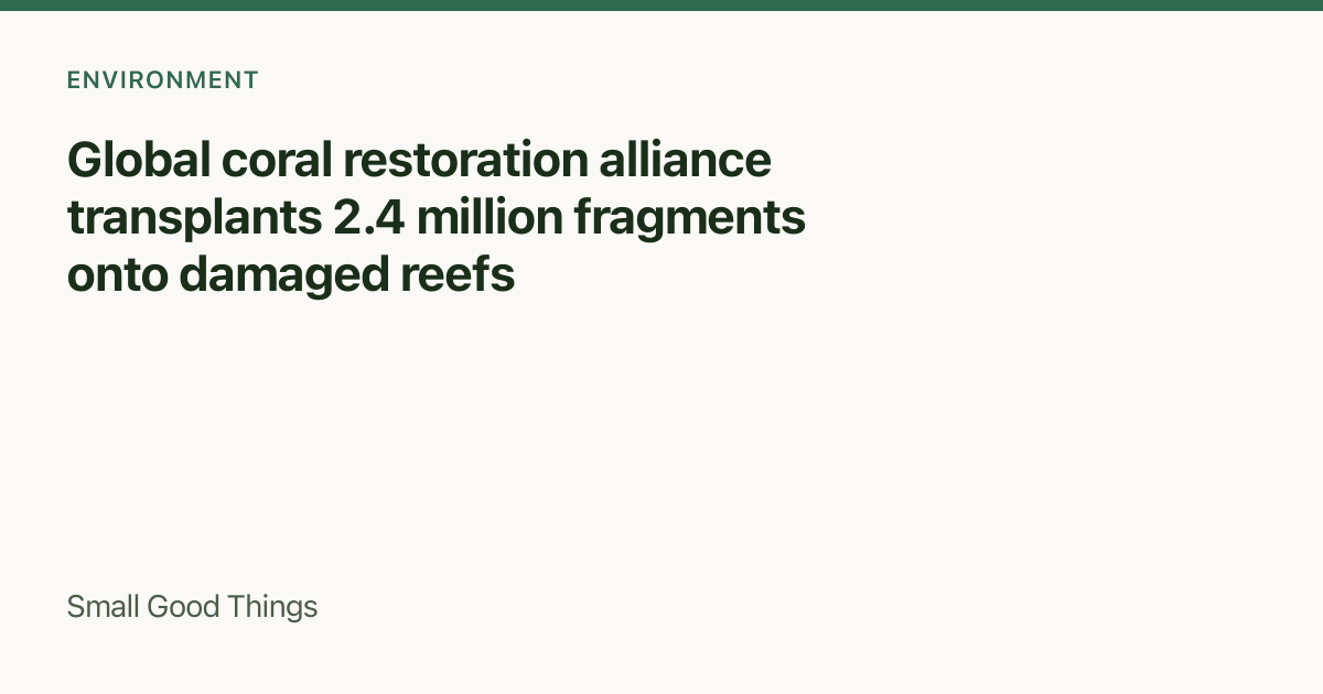 Global coral restoration alliance transplants 2.4 million fragments onto damaged reefs — Global