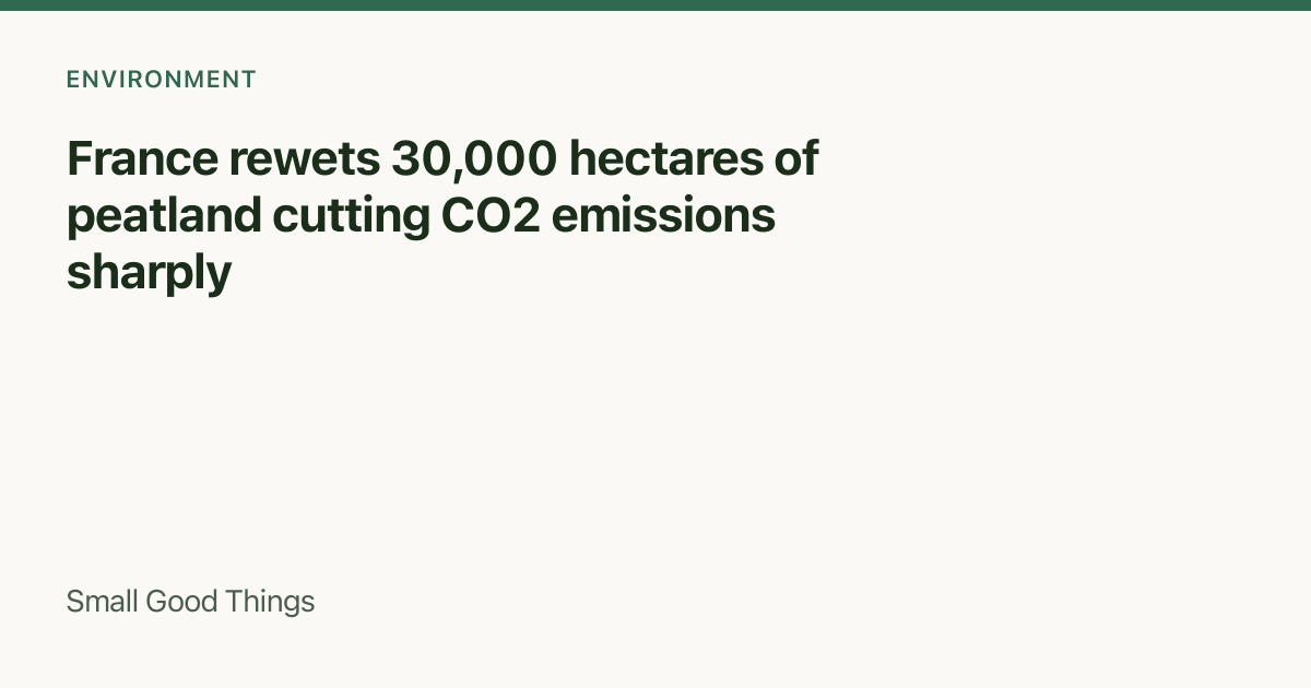 France rewets 30,000 hectares of peatland cutting CO2 emissions sharply — France