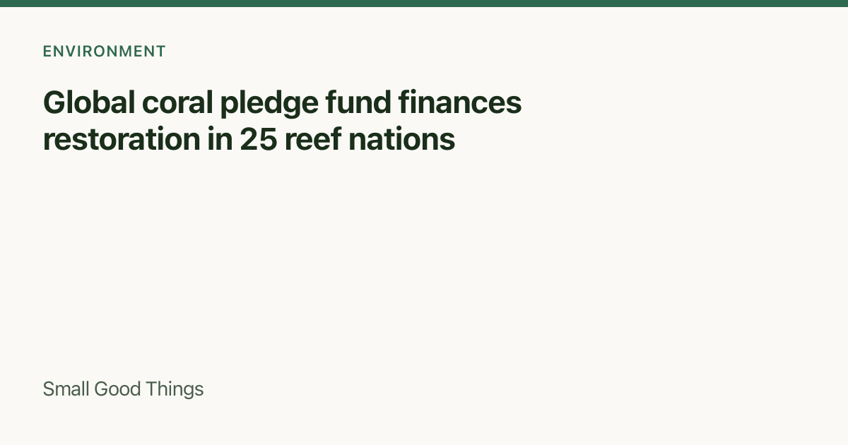 Global coral pledge fund finances restoration in 25 reef nations — Global