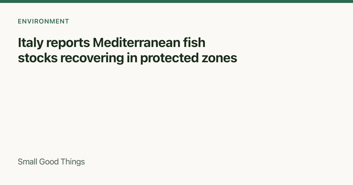 Italy reports Mediterranean fish stocks recovering in protected zones — Italy