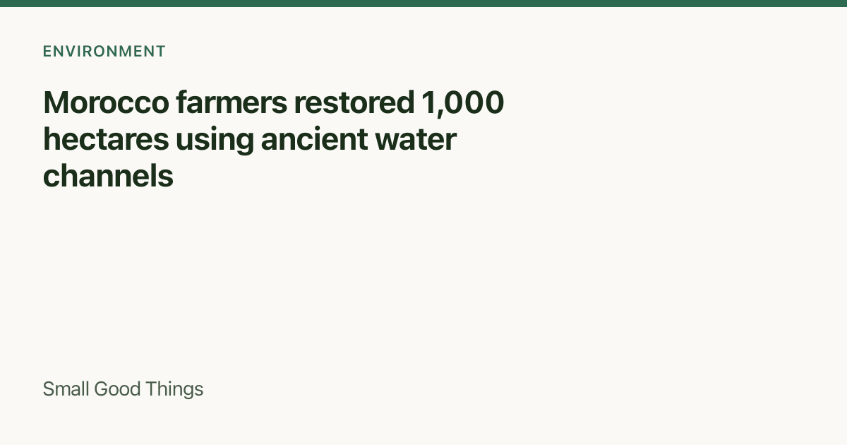 Morocco farmers restored 1,000 hectares using ancient water channels — Atlas Mountains, Morocco