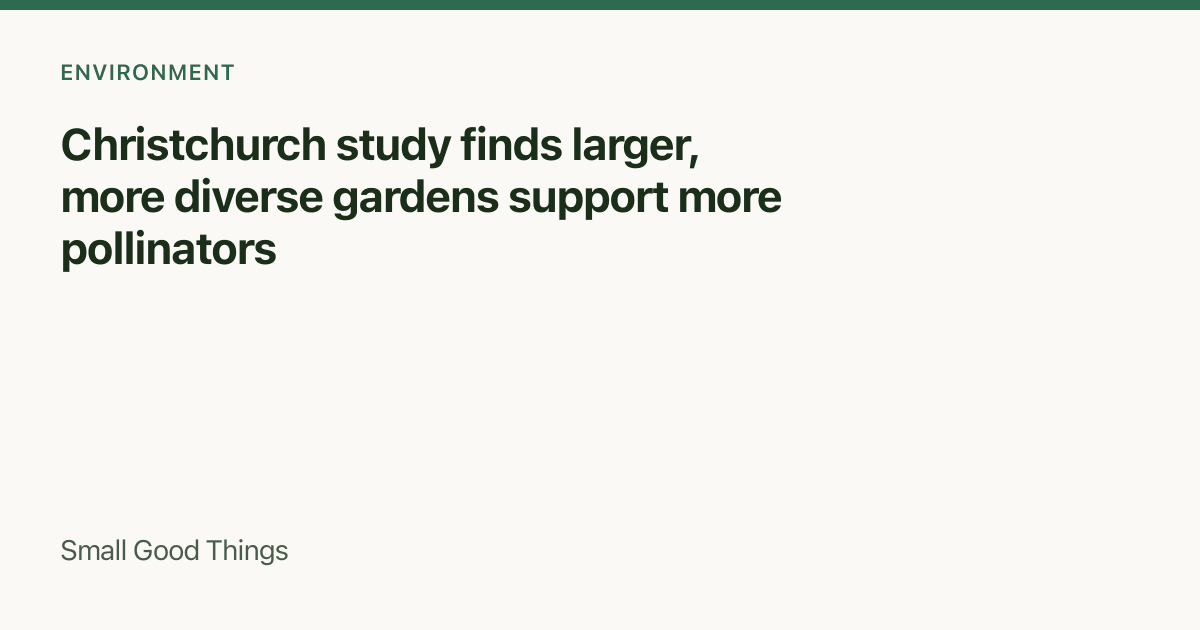 Christchurch study finds larger, more diverse gardens support more pollinators — Christchurch, New Zealand