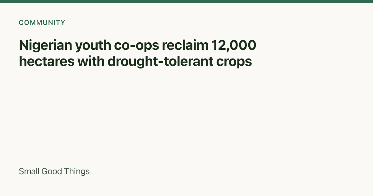 Nigerian youth co-ops reclaim 12,000 hectares with drought-tolerant crops — Northern Nigeria