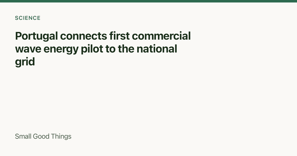 Portugal connects first commercial wave energy pilot to the national grid — Portugal