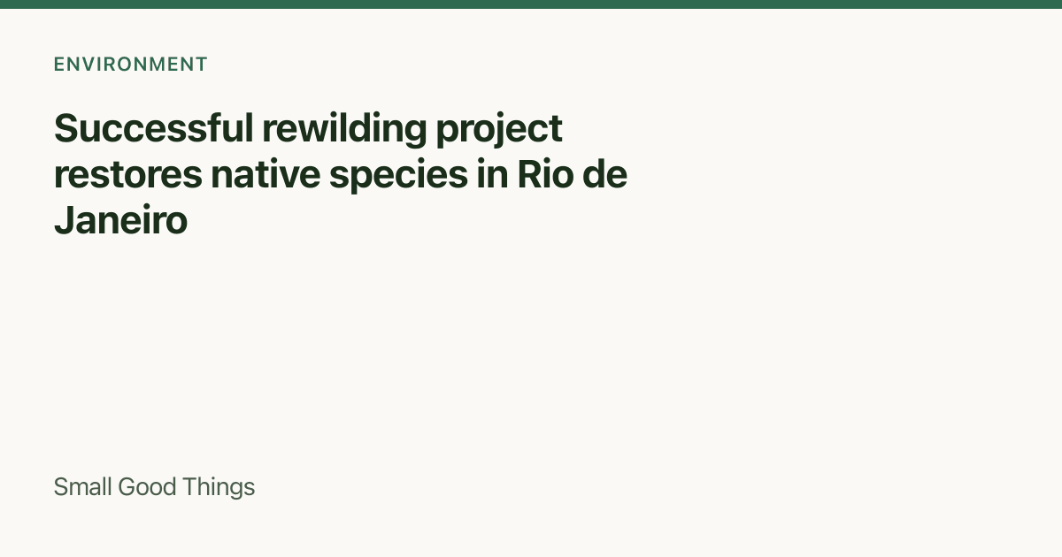 Successful rewilding project restores native species in Rio de Janeiro — Rio de Janeiro, Brazil