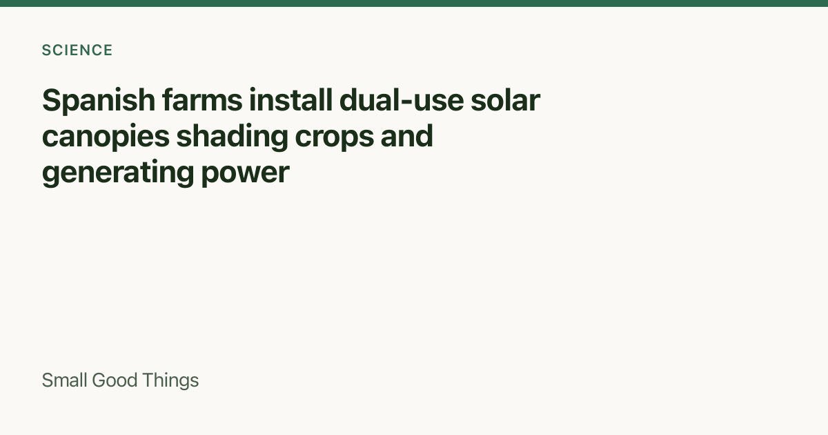 Spanish farms install dual-use solar canopies shading crops and generating power — Spain