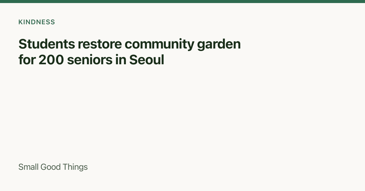 Students restore community garden for 200 seniors in Seoul — Seoul, South Korea