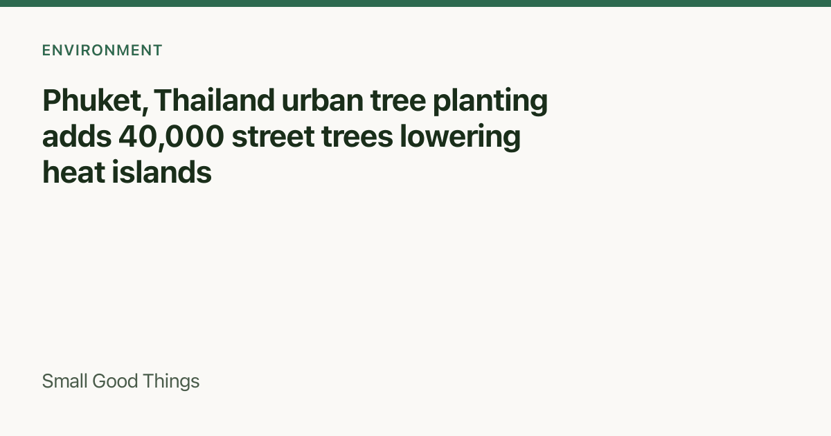 Phuket, Thailand urban tree planting adds 40,000 street trees lowering heat islands — Phuket, Thailand