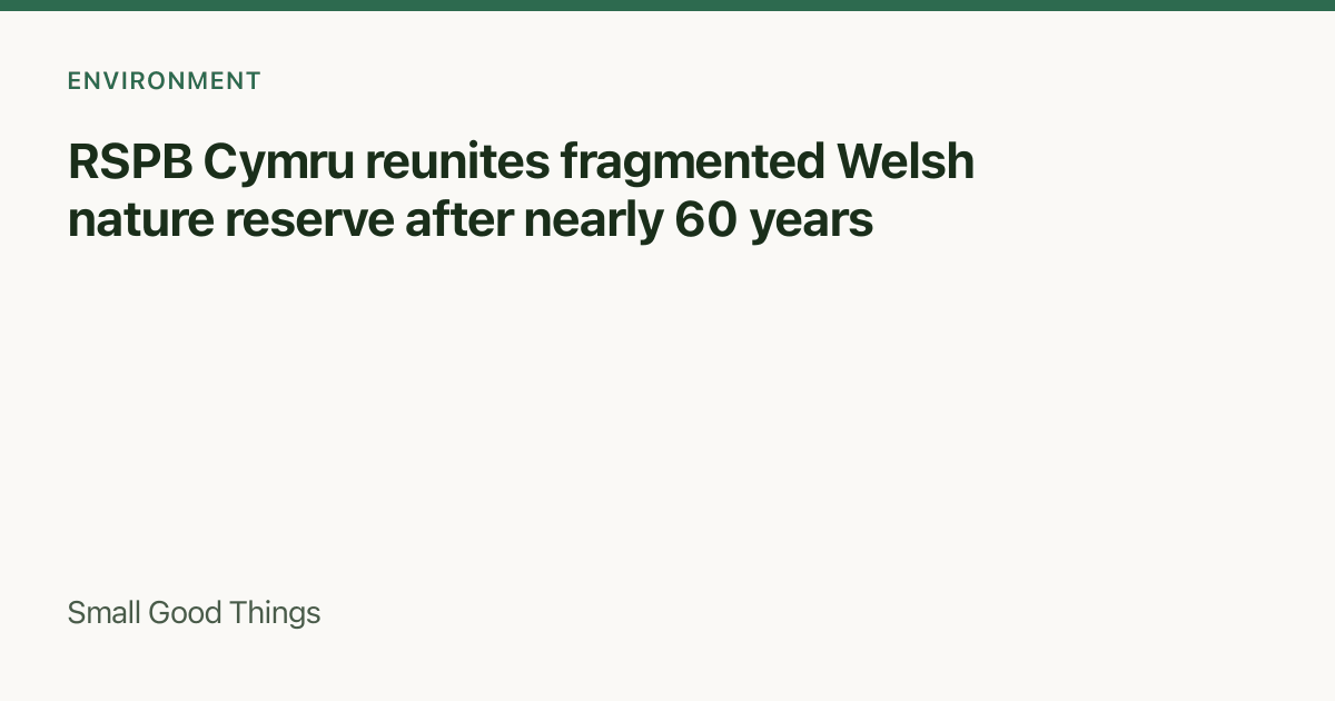 RSPB Cymru reunites fragmented Welsh nature reserve after nearly 60 years — Elenydd, near Rhandirmwyn, Carmarthenshire, mid Wales