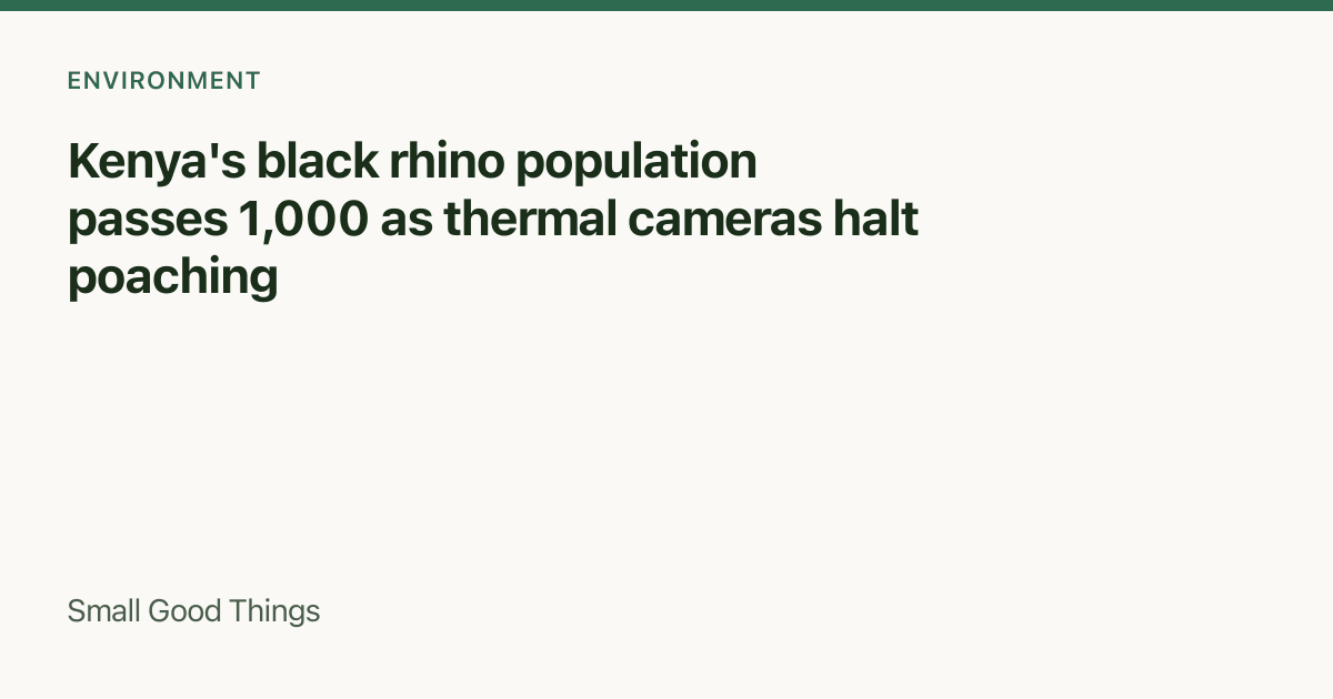 Kenya's black rhino population passes 1,000 as thermal cameras halt poaching — Ol Pejeta Conservancy and Solio Game Reserve, Kenya
