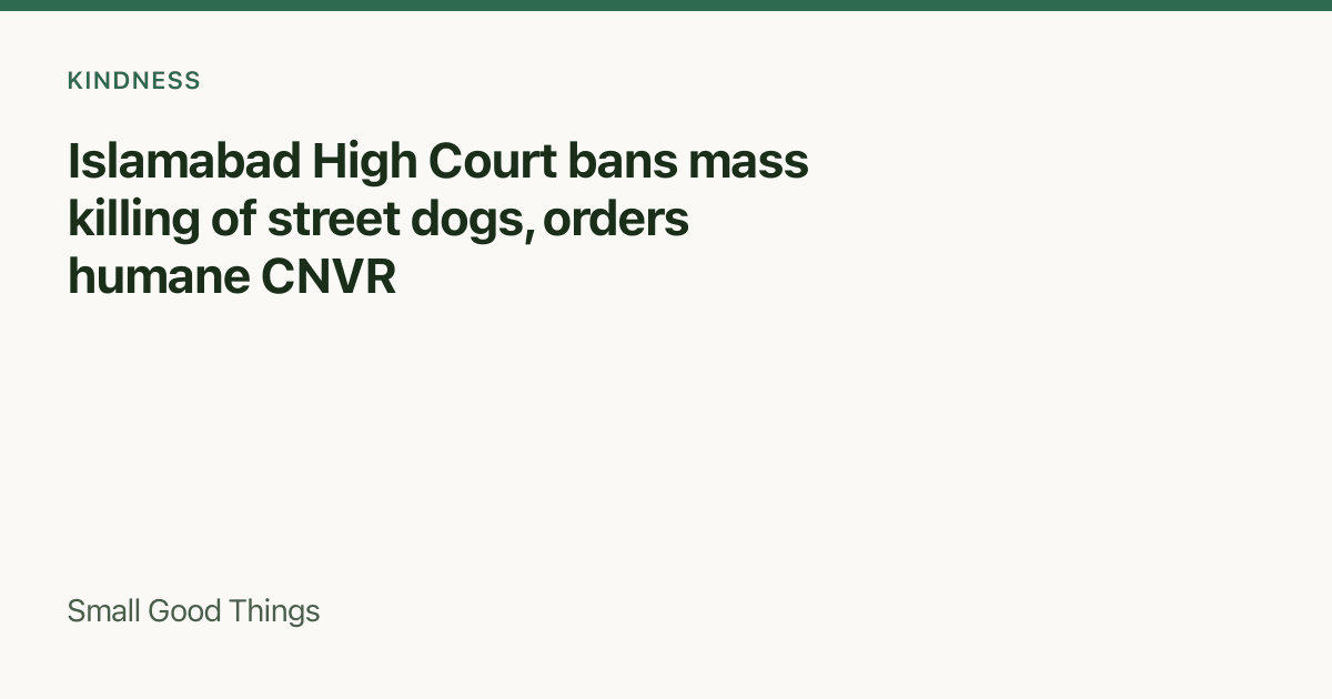 Islamabad High Court bans mass killing of street dogs, orders humane CNVR — Islamabad, Pakistan