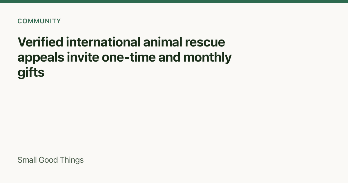 Verified international animal rescue appeals invite one-time and monthly gifts — United States