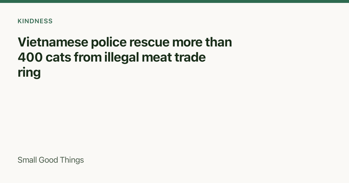 Vietnamese police rescue more than 400 cats from illegal meat trade ring — Ho Chi Minh City, Vietnam